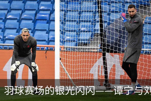 羽球赛场的银光闪闪——谭宁与刘圣书的奋战之旅